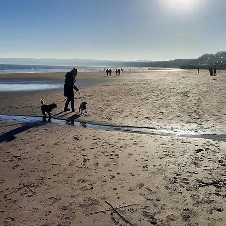 The Sycamores Filey